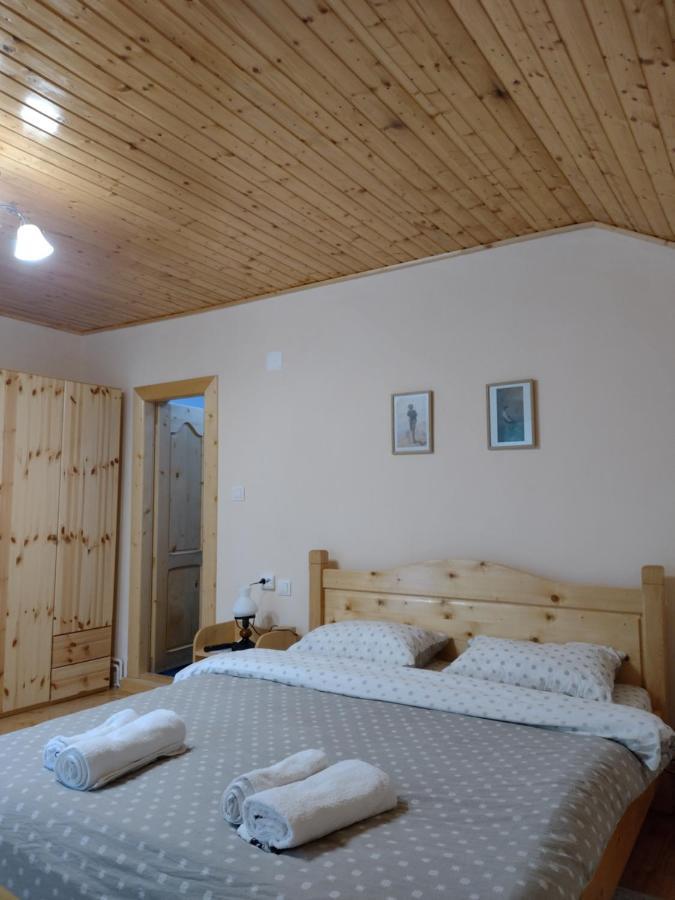 Apartmán Casa Radu Novaci-Străini Exteriér fotografie