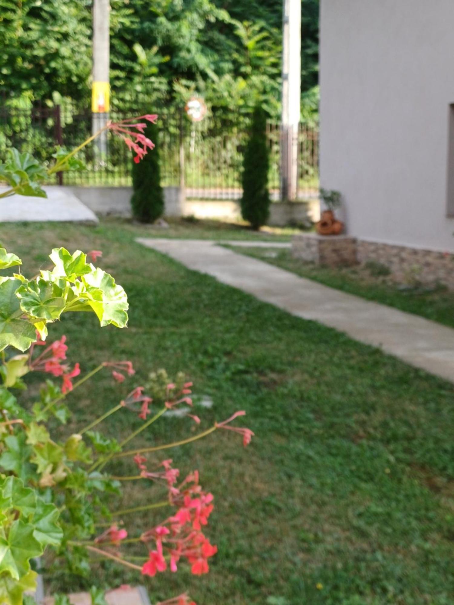 Apartmán Casa Radu Novaci-Străini Exteriér fotografie