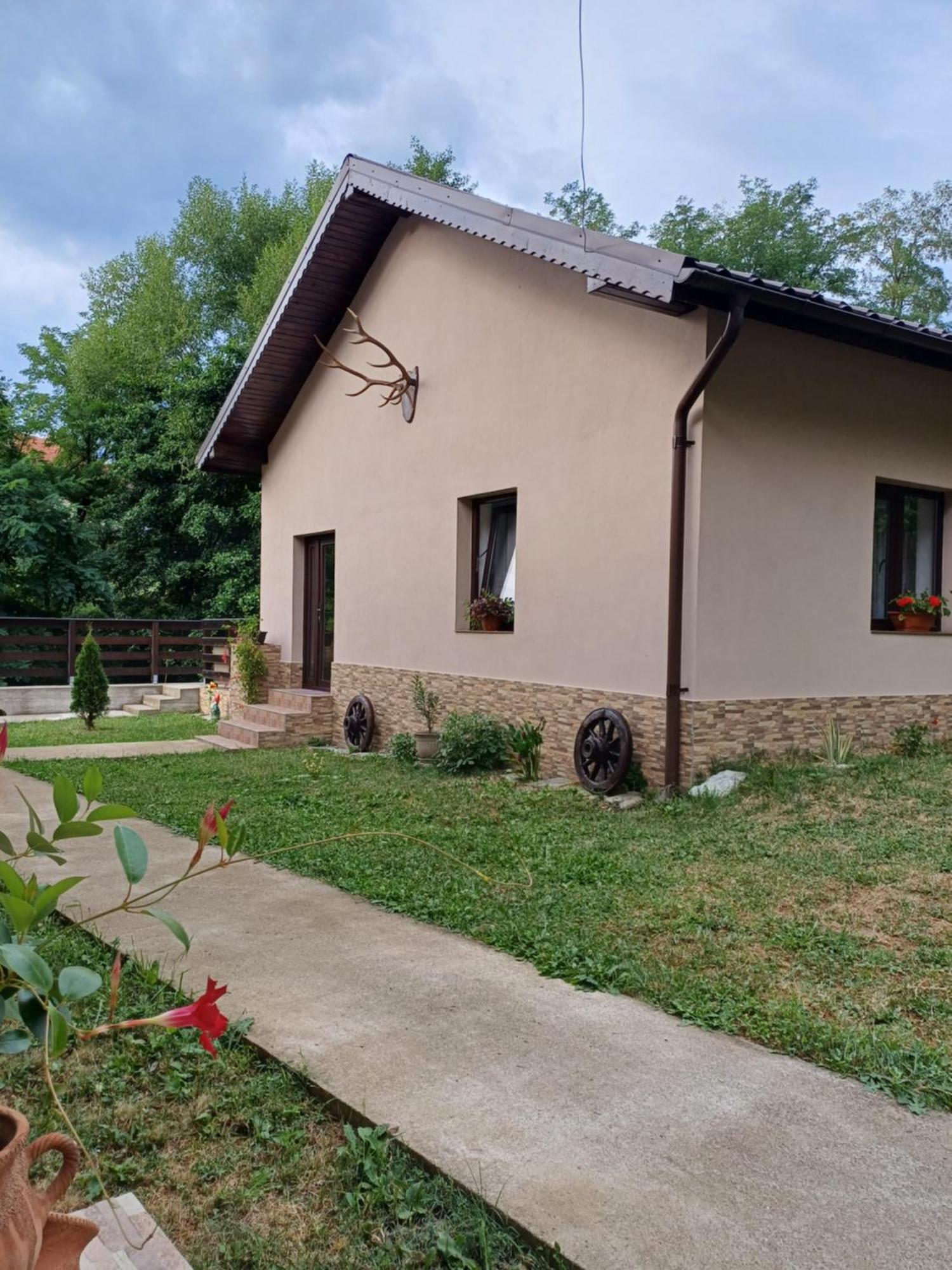 Apartmán Casa Radu Novaci-Străini Exteriér fotografie
