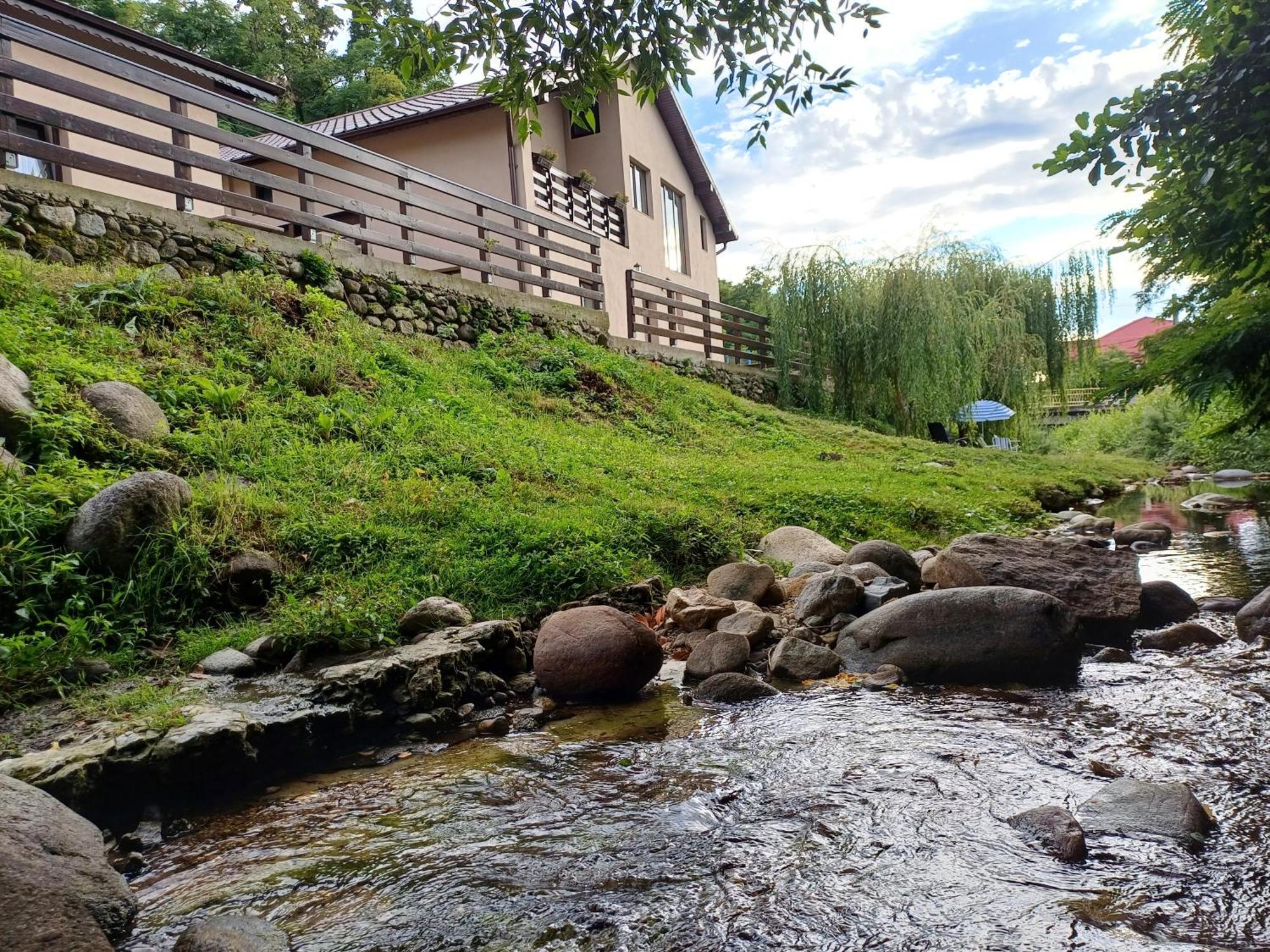 Apartmán Casa Radu Novaci-Străini Exteriér fotografie