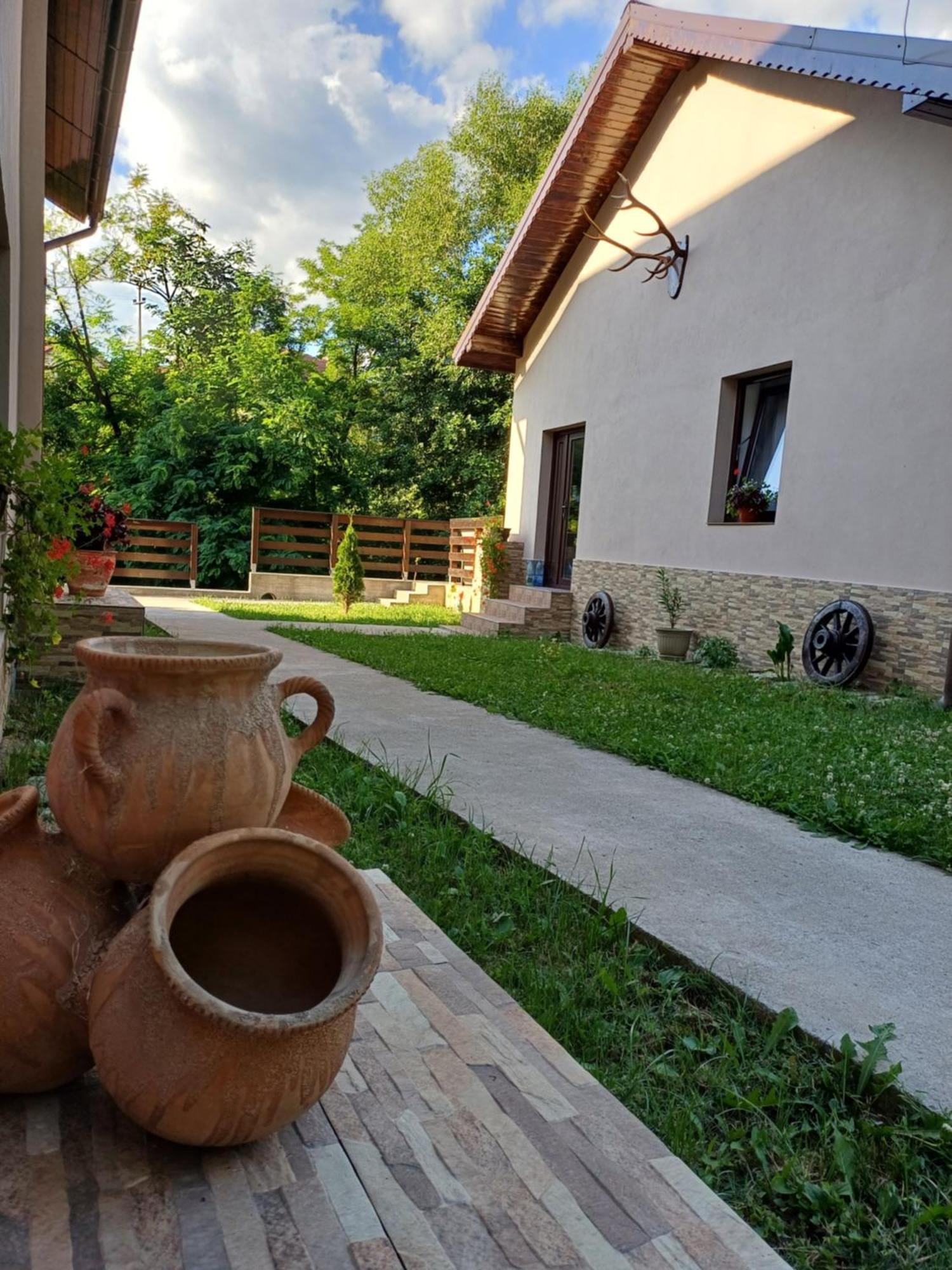 Apartmán Casa Radu Novaci-Străini Exteriér fotografie